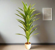 Artificial Dracaena fragrans “Golden Coast” 130cm - Greensouq - 