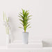 Artificial Dracaena fragrans “Golden Coast” 130cm - Greensouq - 