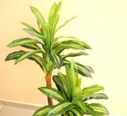 Artificial Dracaena fragrans “Massangeana” 120cm - Greensouq - 