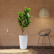 Artificial Ficus lyrata or Fiddle Leaf Fig Tree 1.5m - Greensouq - 