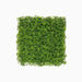 Artificial Green Wall 40x40cm - Greensouq - 