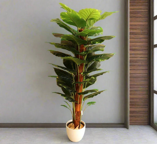 Artificial Money Plant 130cm - Greensouq - 