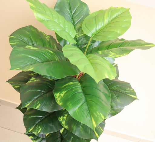 Artificial Money Plant 130cm - Greensouq - 
