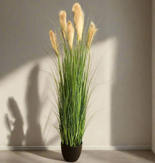 Artificial Pampas grass 1.5m - Greensouq - 