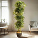 Artificial Schefflera arboricola "Gold Capella" 120cm - Greensouq - 