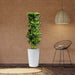 Artificial Schefflera arboricola "Green" 120cm - Greensouq - 