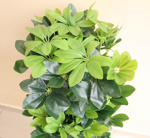 Artificial Schefflera arboricola "Green" 120cm - Greensouq - 