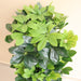 Artificial Schefflera arboricola "Green" 120cm - Greensouq - 