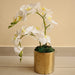 Artificial White Orchids 50cm - Greensouq - 