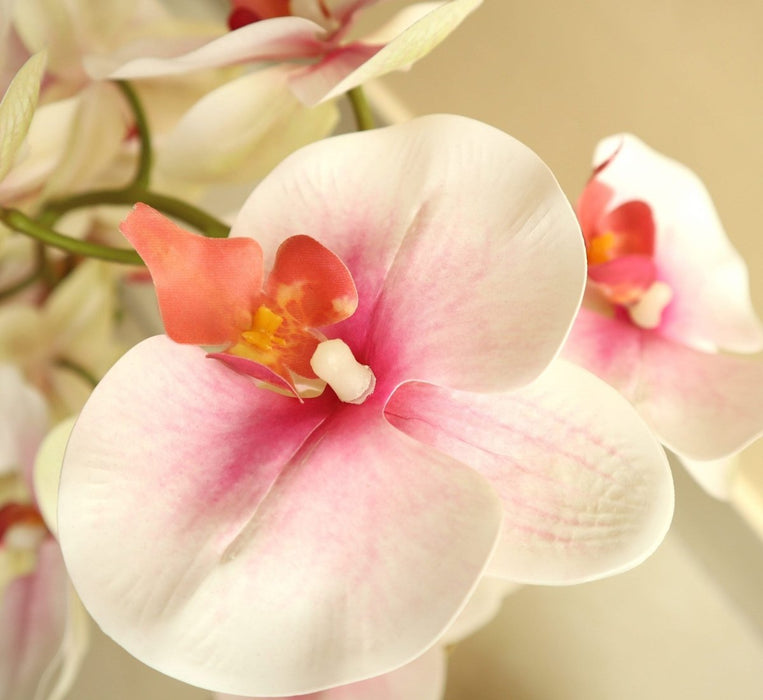 Artificial White Orchids 50cm - Greensouq - 