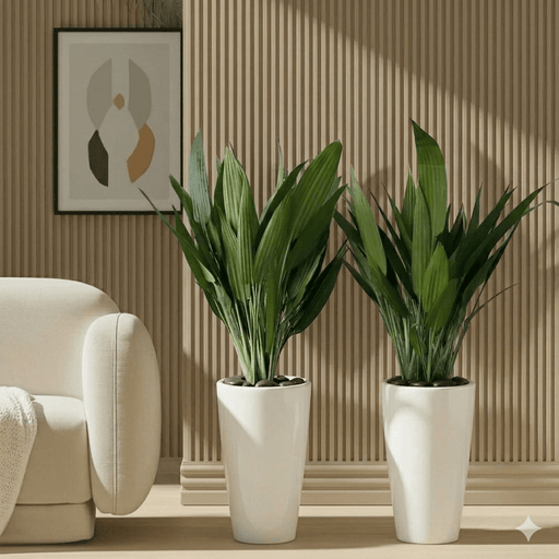 ASPIRADAS Bundle 1m to 1.2m Set of 2 Plants in Ceramic pots - Greensouq - 