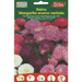 Aster Dwarf Queen Mix Premium Quality Seeds by EuroGarden - Greensouq - 
