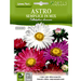 Aster Flower of Love "Astro Semplice" Hortus Seeds - Greensouq - 