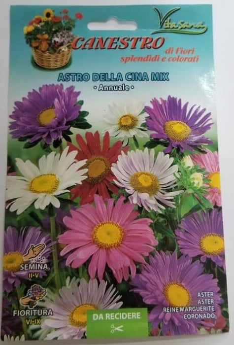 Astro Della Cina Mix Seed "CANESTRO" - Greensouq - 