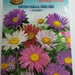 Astro Della Cina Mix Seed "CANESTRO" - Greensouq - 