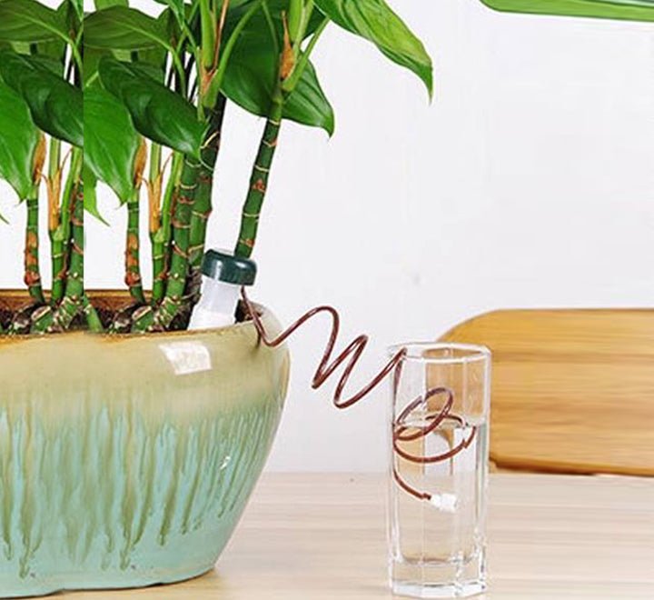 Automatic Plant Ceramic Waterers “set of two” - Greensouq - 
