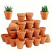 terracotta clay pots