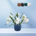 Babu Ribbed Pot "Small" - Greensouq - 