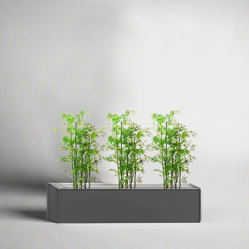 Bamboo Multiplex Trio in Rectangular Fiber Glass Planter (GRP) (90x30x30cm) - Greensouq - 