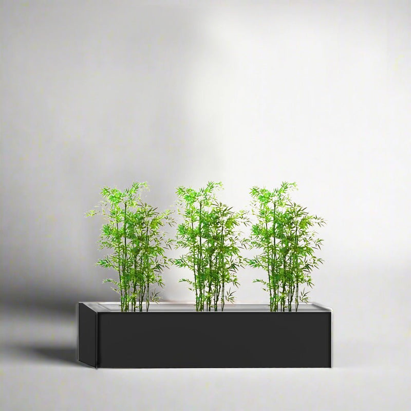 Bamboo Multiplex Trio in Rectangular Fiber Glass Planter (GRP) (90x30x30cm) - Greensouq - 