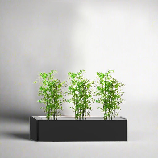 Bamboo Multiplex Trio in Rectangular Fiber Glass Planter (GRP) (90x30x30cm) - Greensouq - 