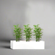 Bamboo Multiplex Trio in Rectangular Fiber Glass Planter (GRP) (90x30x30cm) - Greensouq - 