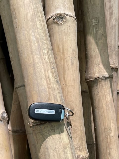Bamboo pole 1m Length Strong Natural Bamboo, Bamboo Structure Pole - Greensouq - 
