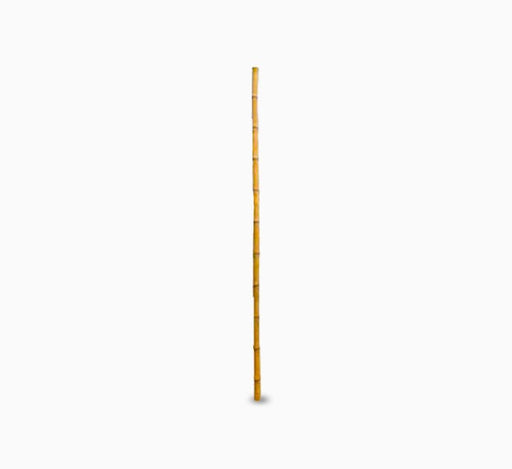 Bamboo pole 1m Length Strong Natural Bamboo, Bamboo Structure Pole - Greensouq - 