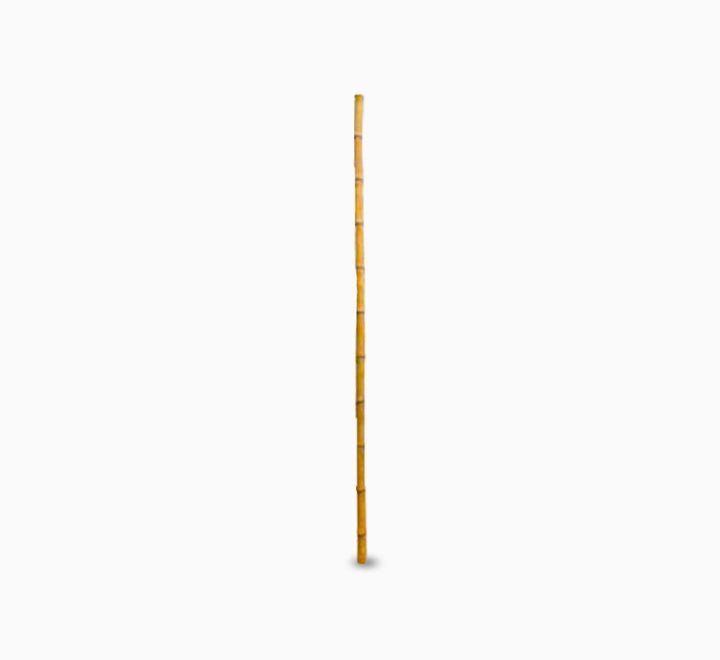 Bamboo pole 3m Length Strong Natural Bamboo, Bamboo Structure Pole - Greensouq - 