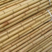 Bamboo Stick "Per Piece" 15 - 30mm Dia "Ideal for Plant Support" - Greensouq - 