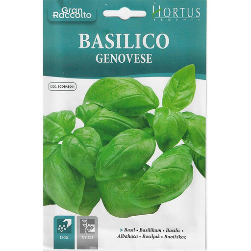Basil "Basilico Genovese" Seeds by Hortus - Greensouq - 