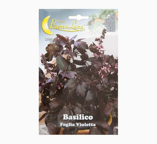 Basilico Foglia Violetta Seeds - Greensouq - 