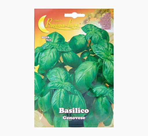 Basilico Genovese Seeds Mega Pack - Greensouq - 
