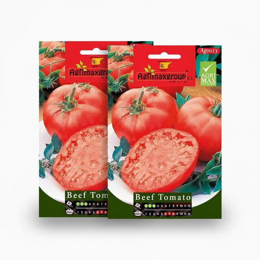 Agrimax Beef Tomatoes Seeds - Greensouq -