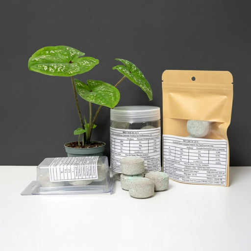 Best Tab "NPK Fertilizer Tablets" with Complete Essential Nutrients For Indoor and Outdoor Plants - Greensouq - 