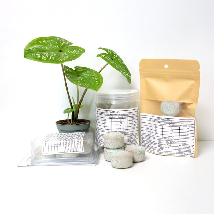 Best Tab "NPK Fertilizer Tablets" with Complete Essential Nutrients For Indoor and Outdoor Plants - Greensouq - 