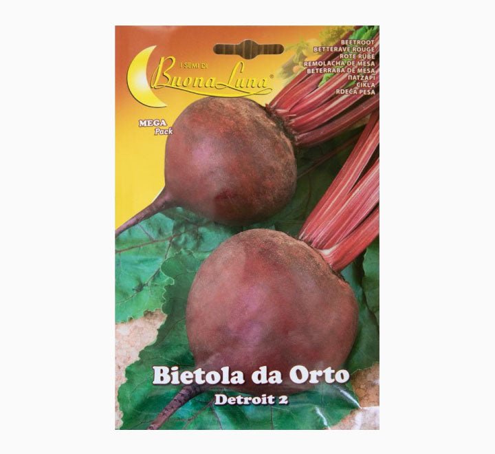 Bietola da Orto Detroit 2 Seeds - Greensouq - 