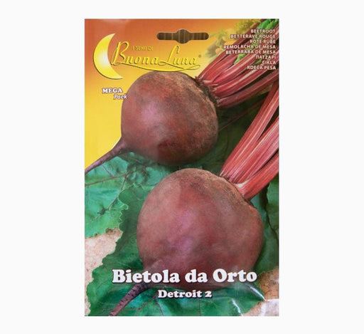 Bietola da Orto Detroit 2 Seeds - Greensouq - 