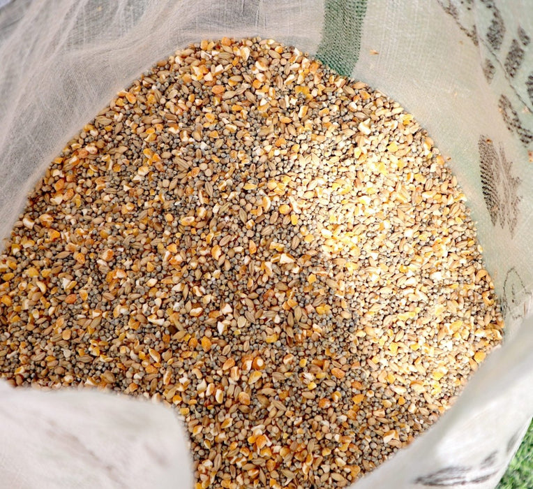 Bird Feed "Feed Wild Bird in your Backyard" - Greensouq - 
