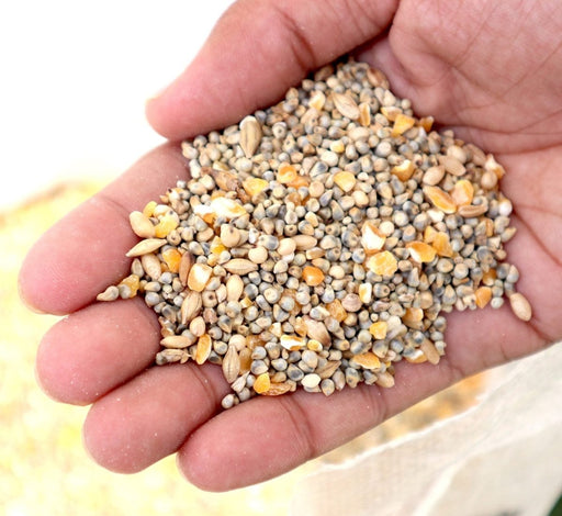 Bird Feed "Feed Wild Bird in your Backyard" - Greensouq - 