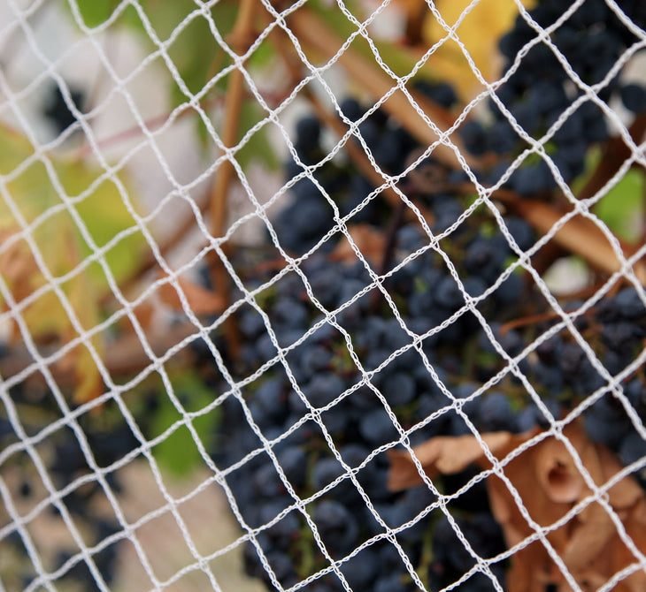 Bird Net "Heavy Duty Bird Netting White" 5.0x1.0m Ideal for Balcony, Pond Safety &amp; Fruit Cage - Greensouq - 