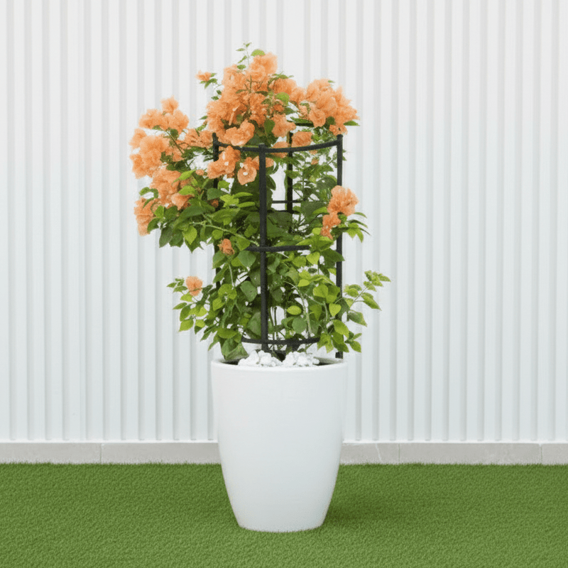 Black Ceramic Bougainvillea Pot - Modern Home Decor - Greensouq -