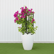 Black Ceramic Bougainvillea Pot - Modern Home Decor - Greensouq -