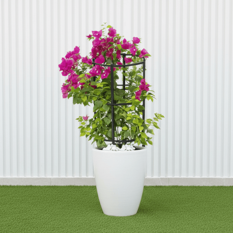 Black Ceramic Bougainvillea Pot - Modern Home Decor - Greensouq -
