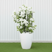 Black Ceramic Bougainvillea Pot - Modern Home Decor - Greensouq -