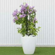 Black Ceramic Bougainvillea Pot - Modern Home Decor - Greensouq -