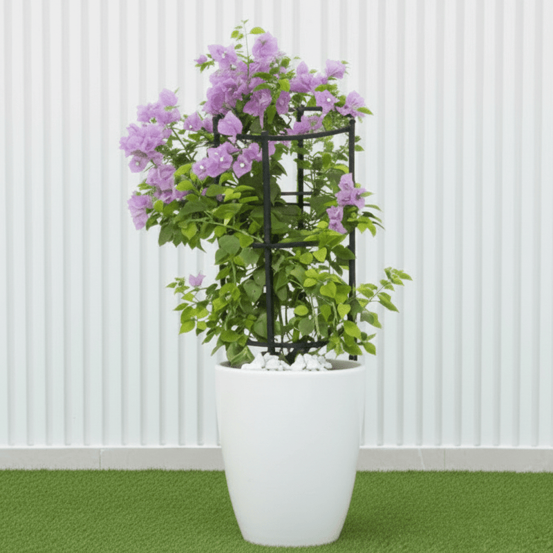 Black Ceramic Bougainvillea Pot - Modern Home Decor - Greensouq -