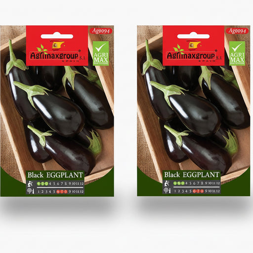 Agrimax Black Eggplant Seeds - Greensouq -