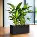 Bird of Paradise Planter