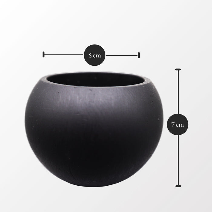 Bowl Succulent Pot
